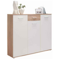 Shoe Storage Cabinet – White and Wooden, 120 x 40 x 100 cm | SU36